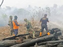 Karhutla 58,7 Hektare di Aceh Barat Berhasil Dipadamkan, BPBD Tetap Siaga