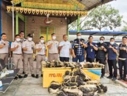 Hendak Diselundupkan ke Malaysia, Hampir 2.000 Kulit Biawak Digagalkan di Pelabuhan Teluk Nibung