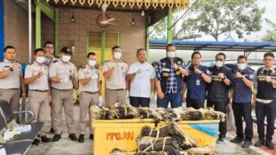 Hendak Diselundupkan ke Malaysia, Hampir 2.000 Kulit Biawak Digagalkan di Pelabuhan Teluk Nibung