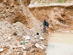Longsor Tambang Emas Ilegal di Batang Gadis, Seorang Petani Tewas dan Dua Luka-Luka