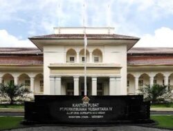 BPK Ungkap 1.607 Ton Teh PTPN IV Belum Dibayar, Nilai Kontrak Rp29,43 Miliar Menggantung