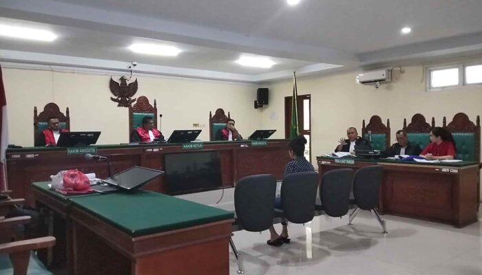 Terkuak di Sidang KDRT: Jeritan “Ko Erwin Tolong” Jadi Sorotan, Lampu Padam Menyusul