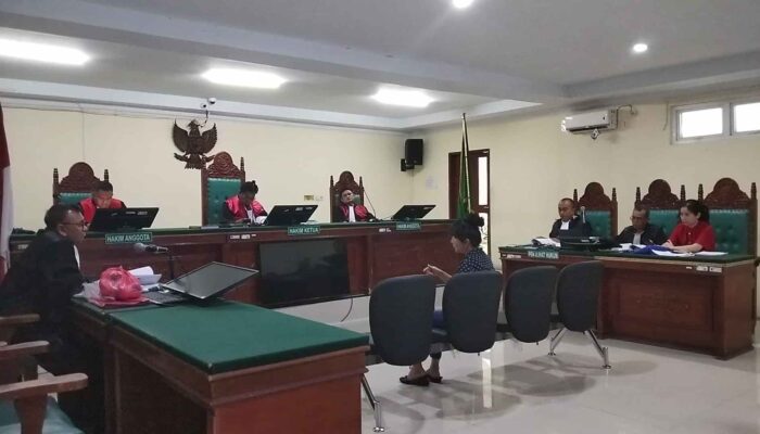 Sidang KDRT PN Lubuk Pakam Uji Keterangan Saksi LK, CCTV dan Mati Lampu Jadi Polemik