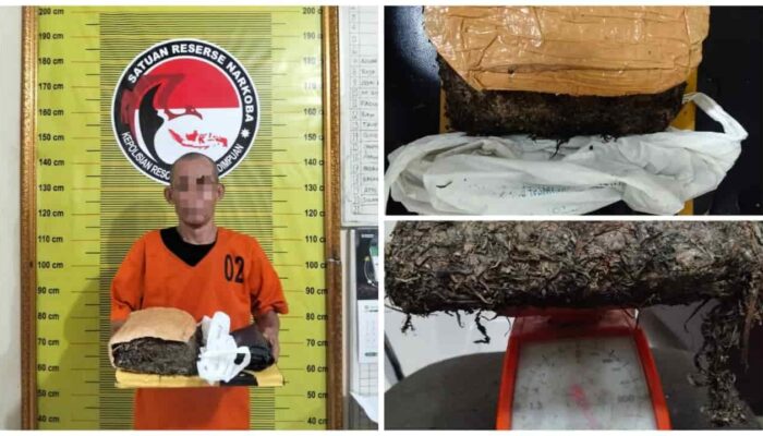 Ops Antik Toba 2026 Bongkar Dugaan Peredaran Ganja di Padangsidimpuan, Pria Paruh Baya Diamankan