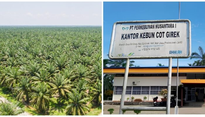 Akademisi Soroti Konflik PTPN IV Cot Girek, Dorong Dialog Menyeluruh dan Penegakan Hukum Berjalan Beriringan