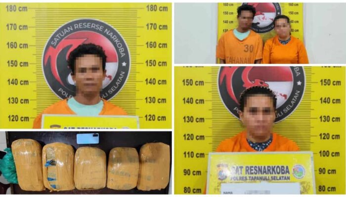 Satresnarkoba Polres Tapsel Gagalkan Dugaan Distribusi Ganja 5 Kilogram, Dua Orang Diperiksa