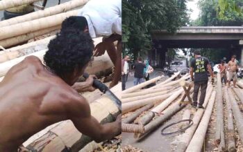 Panjat Pinang Belum Dongkrak Penjualan, Stok 25 Batang Masih Menunggu Pembeli