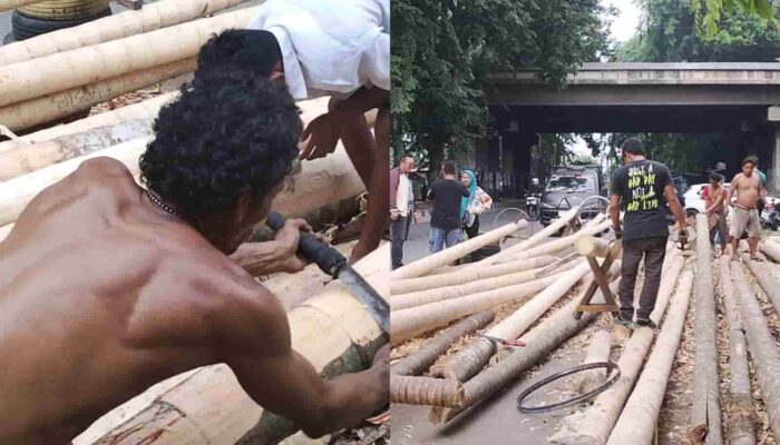 Panjat Pinang Belum Dongkrak Penjualan, Stok 25 Batang Masih Menunggu Pembeli