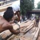 Panjat Pinang Belum Dongkrak Penjualan, Stok 25 Batang Masih Menunggu Pembeli