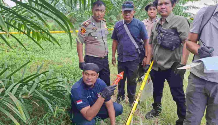 Pedagang 59 Tahun Ditemukan Kritis di Perkebunan, Polisi Dalami Dugaan Keracuna