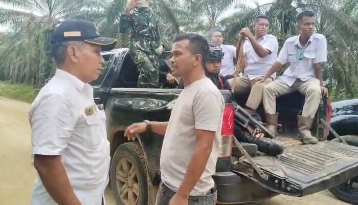 Abdul Aziz Desak Eksekusi Putusan MA soal Eks Torganda, Status Lahan 47.000 Hektare Dipersoalkan